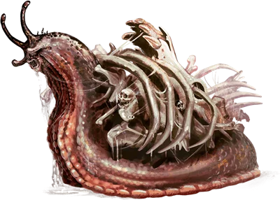 Bone Whelk