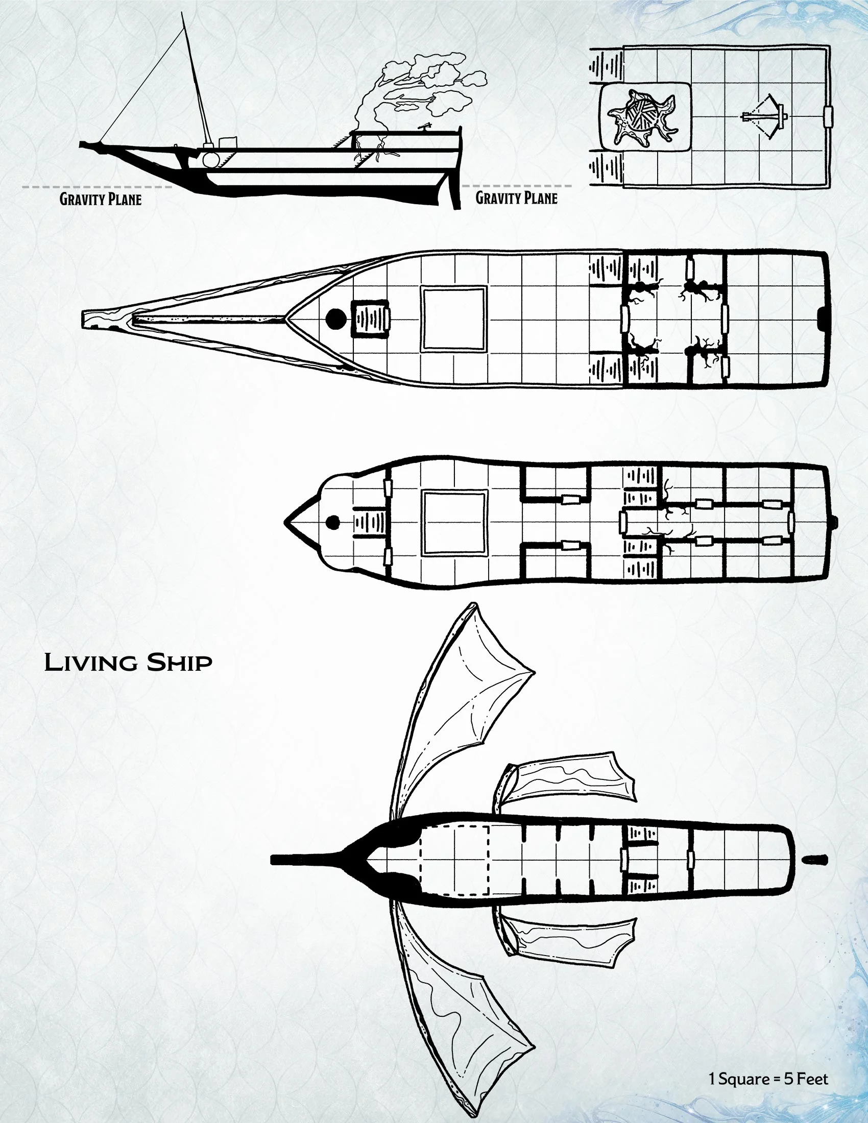 Player Version